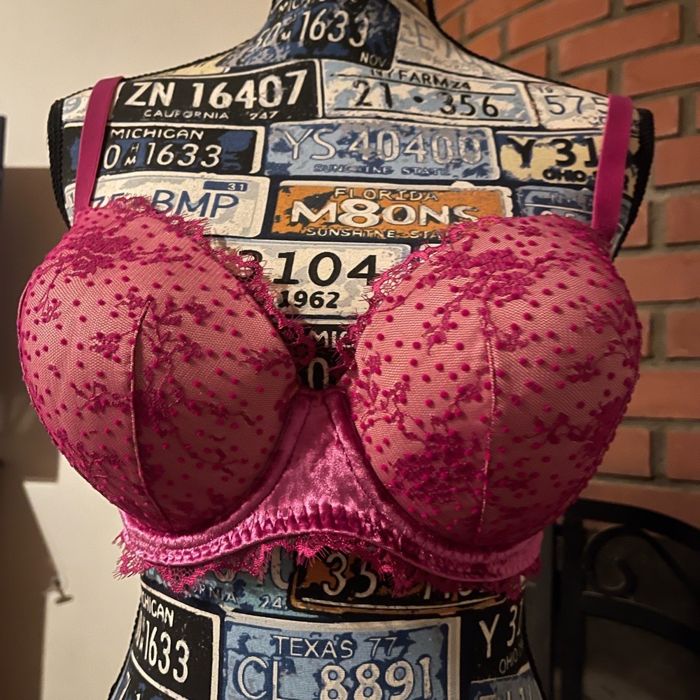 Magenta embroidered bra